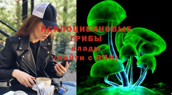 a pvp Алзамай