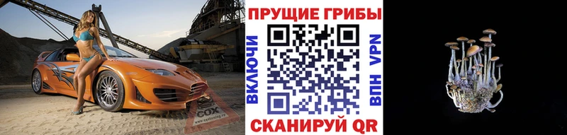 купить наркоту  Нижняя Салда  Галлюциногенные грибы прущие грибы 